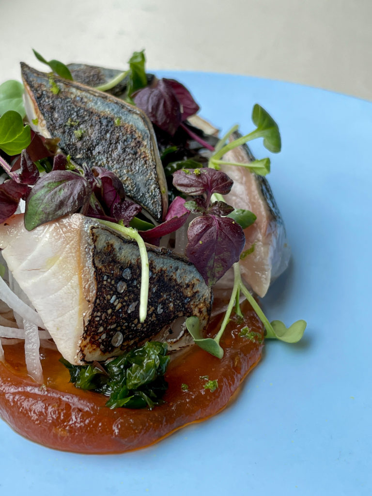 Mackerel ponzu